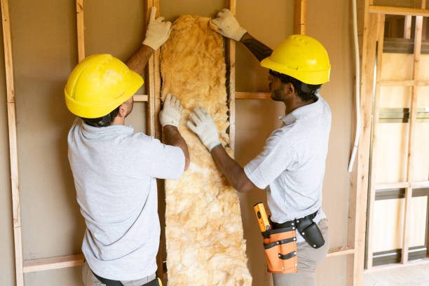 Best Basement Insulation in USA